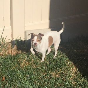 Meet your Posher, Kylie